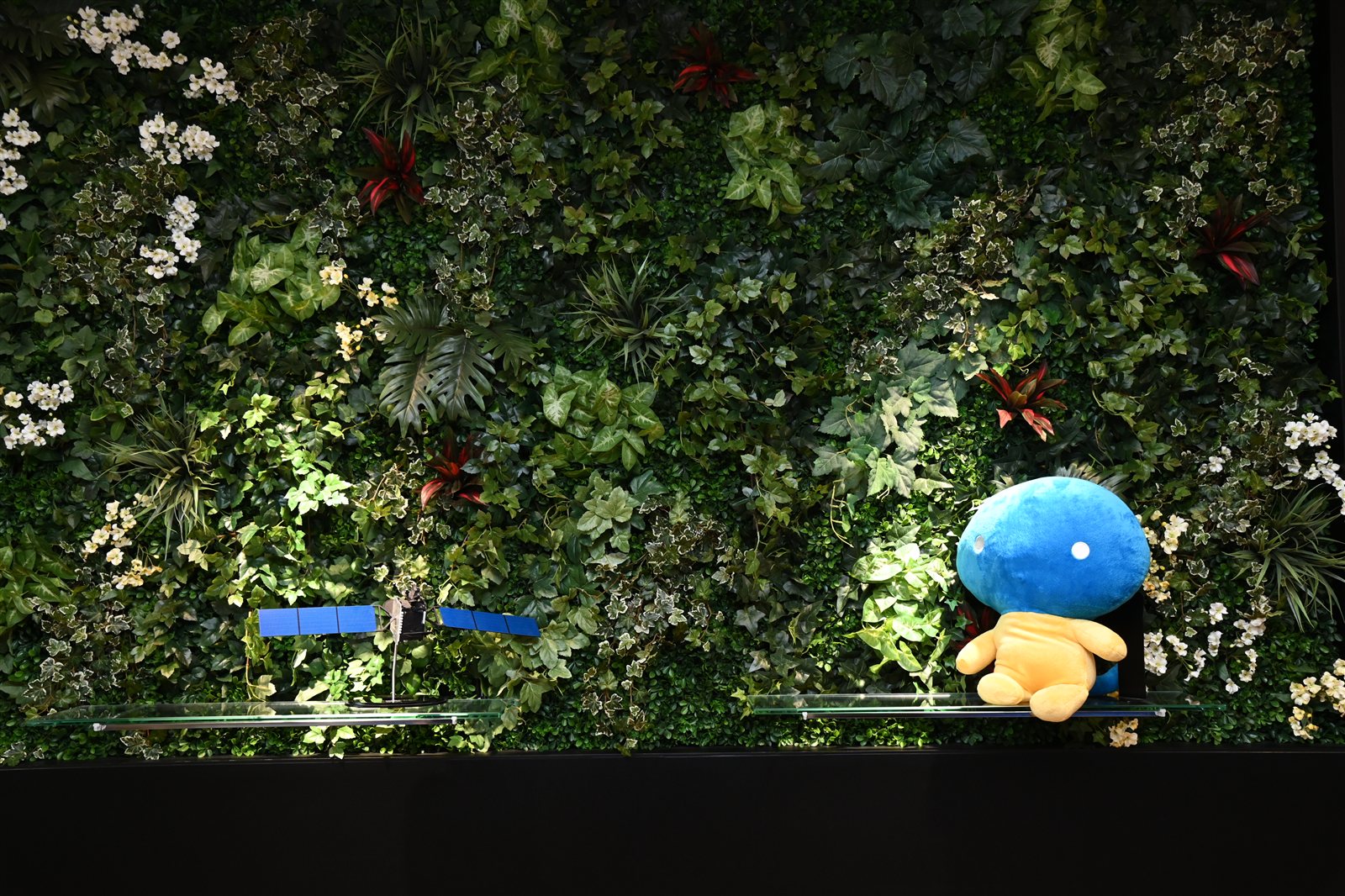 赤坂本社 グリーンウォール